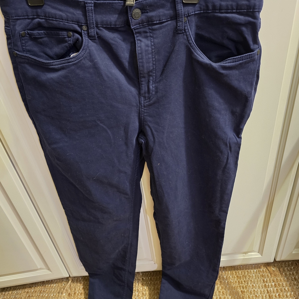 Banana Republic Navy Chinos